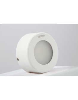 FortuneArrt 9 WATT LED DomeLight