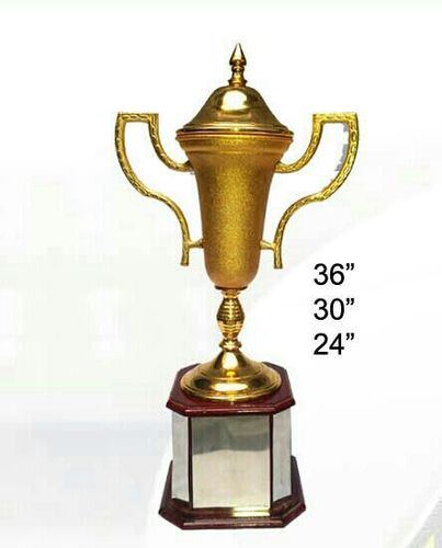 Acrylic Trophy