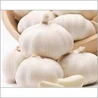 White Garlic
