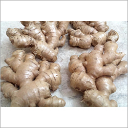Organic Ginger