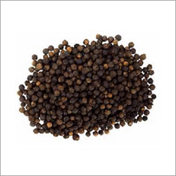 Black Pepper