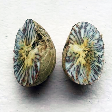 Betel Nut