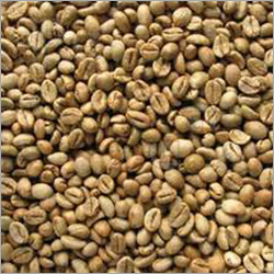 Fresh Coffee Bean