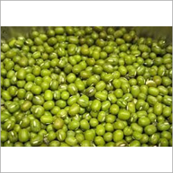 Green Mung Bean