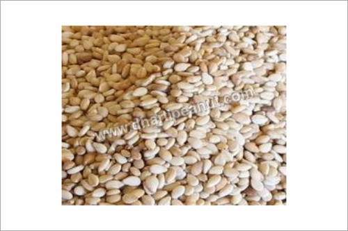 Sesame Seeds Sesame Seeds