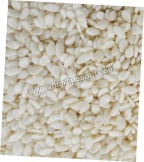 Organic Hulled Sesame Seed