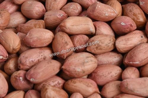 Organic Redskin Peanuts