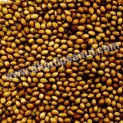 Coriander Seeds Moisture (%): 10