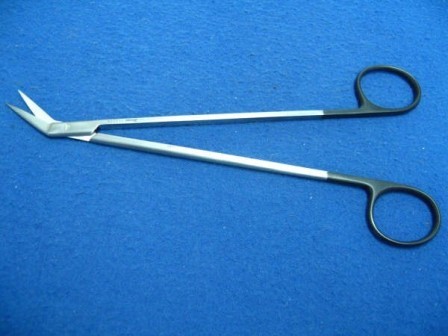 Potts Scissors