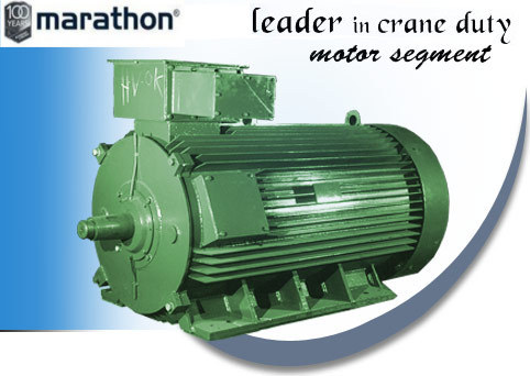 Electric Crane Motors