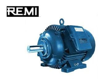 REMI Three Phase Motors