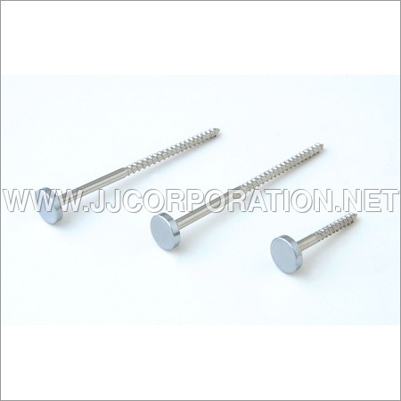 SS Finish Flat Head Mirror Screw