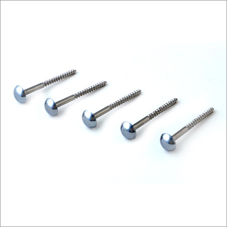 Brass Capped Mirror Screws