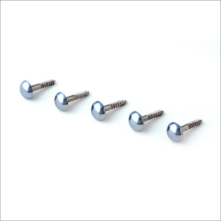 SS Finish Brass Mirror Screws