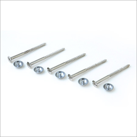 SS Finish Brass Mirror Screw Caps