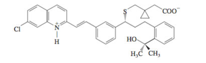 Anti Asthma Drug