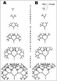 Homeopathic Drugs