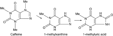 Metabolism Drugs