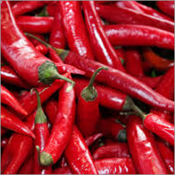 Organic Red Chillies