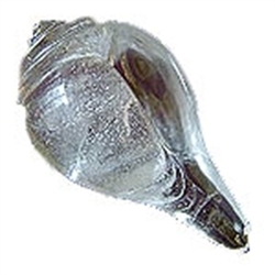 Crystal Shankha for Wealth Prosperity