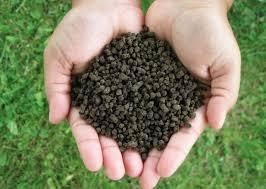 Organic Fertilizer