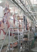 Slaughterhouse Weighing System.