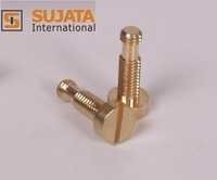 Brass Round Head Double Thread Screw