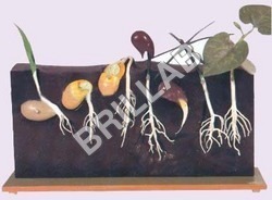 Biology Lab Equipment Exporter