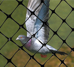 Bird Nettings