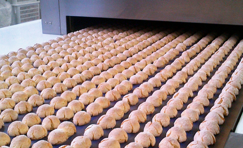 Bakery Plant Consultant By VAASP CONSULTING