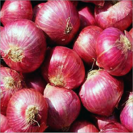 Fresh Onion