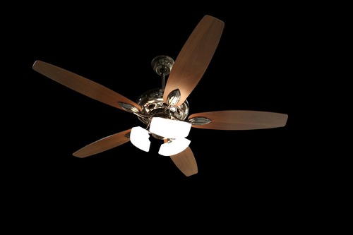 Contemporary Ceiling Fans