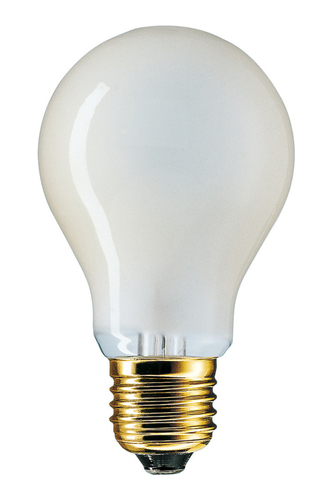 LED Globe Bulbs