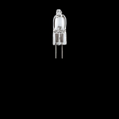 Halogen Light Bulbs