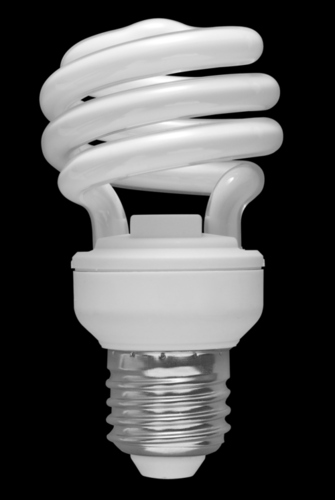 Fluorescent Bulbs