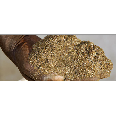Bio Fertilizers