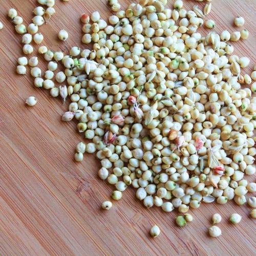 Sorghum Press