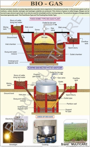 Bio Gas Chart - Art Paper, 58x90 cm, Red | Laminated Double Sided, Plastic Rollers, Full Color Diagrams
