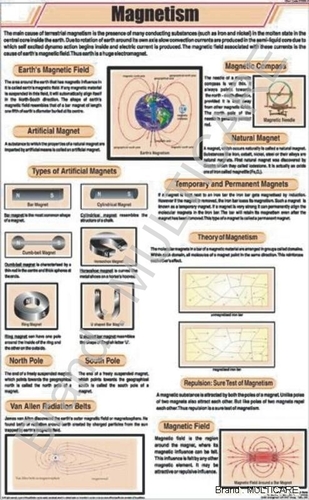 Magnetism Chart - Art Paper 58x90 cm, Multicolor | Laminated Both Sides, Plastic Rollers, Educational Tool