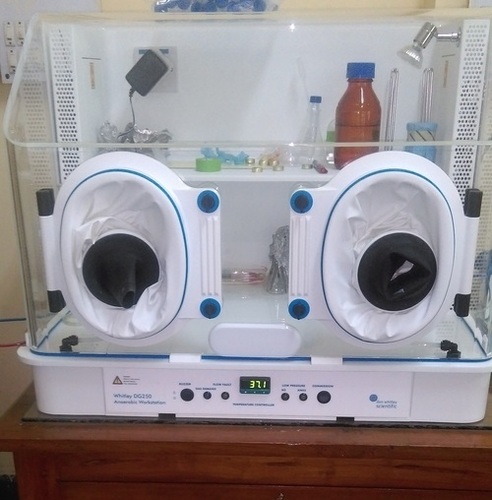 Anaerobic Cell Culture Incubator