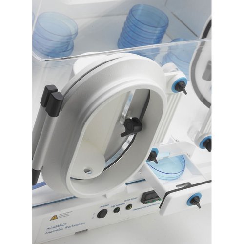 Anaerobic Cell Culture Workstation