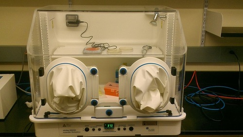 Anaerobic Glove Box