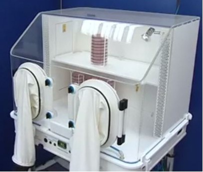 Anaerobic Cell Culture Cabinet