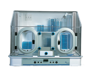 Scientific Anaerobic Culture Incubator