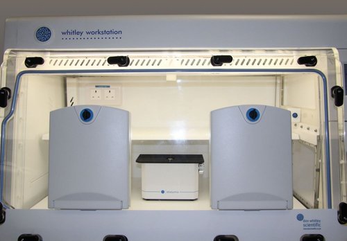 Anaerobic Glove Box Chamber