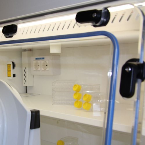 Hypoxia Incubation Chamber