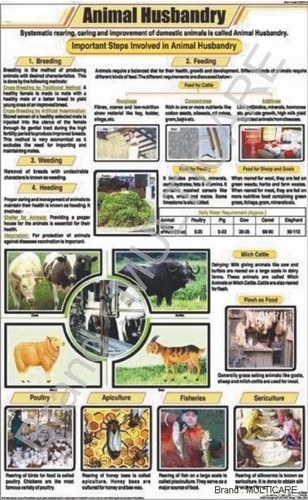 Animal Husbandry Chart