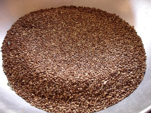 Kodo Millet