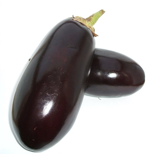 Big Brinjal