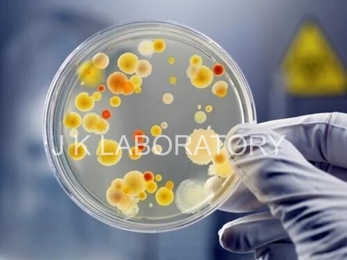 Microbiological Parameter Testing Services